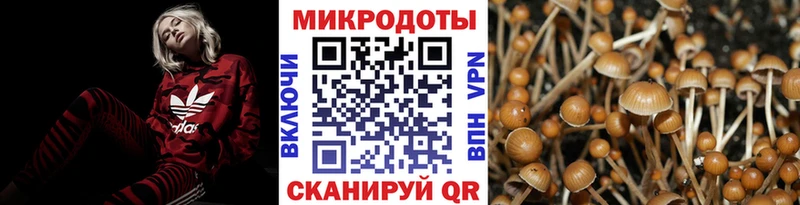 Псилоцибиновые грибы Psilocybine cubensis кракен ССЫЛКА Кинель