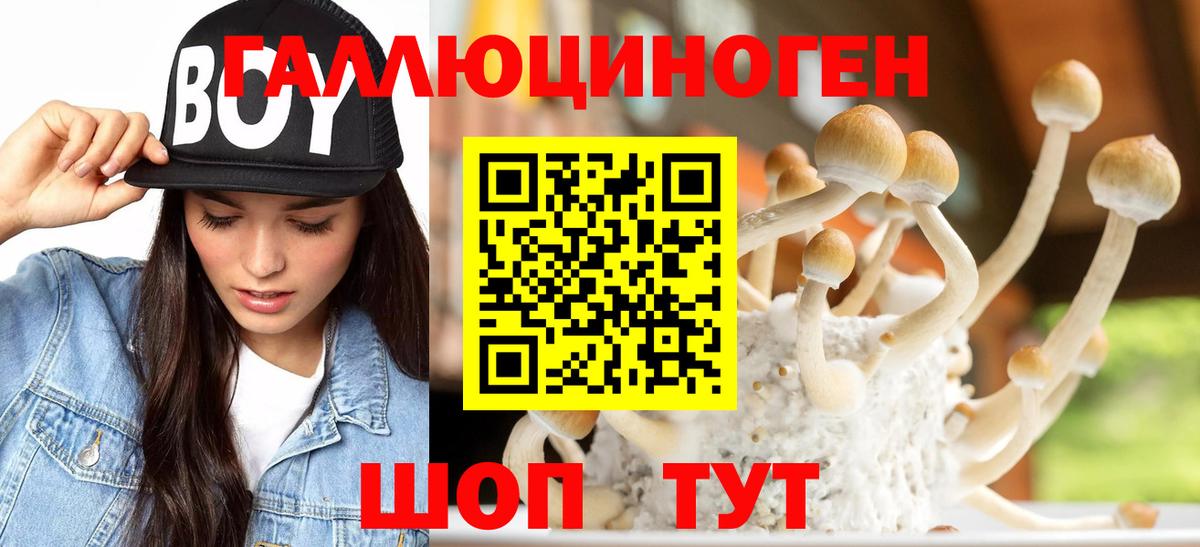 Псилоцибиновые грибы Psilocybine cubensis  Вход с VPN  Псилоцибиновые грибы Psilocybine cubensis  Кинель 