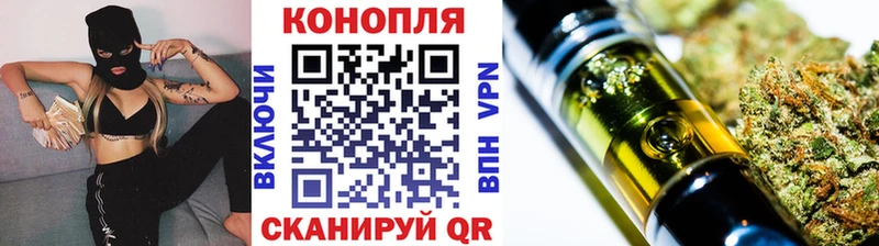 Бошки Шишки семена  купить наркотики цена  Кинель 
